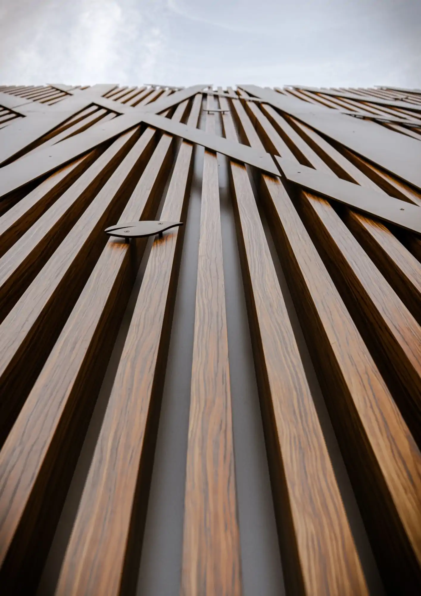 Tutleback Zoo instead of Bamco